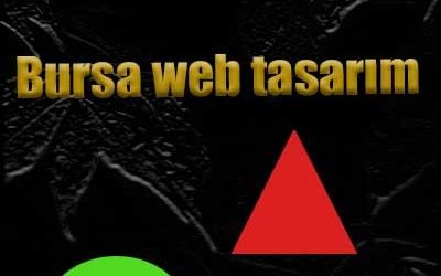 Bursa web tasarım