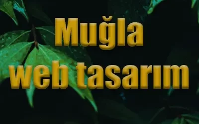 Muğla web tasarım