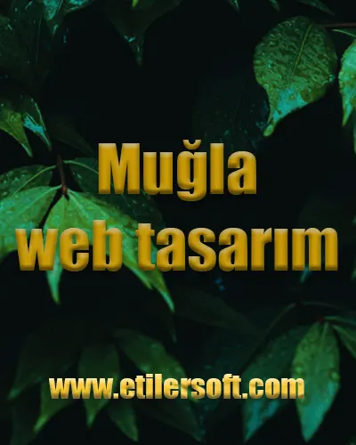 Muğla web tasarım
